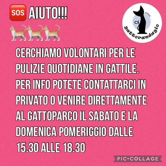 Abbiamo Bisogno di Aiuto